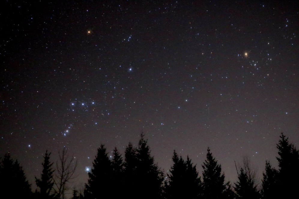 Orion and Taurus, March 21, 2020